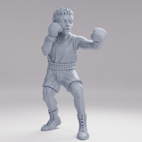 Picture of Boxer
