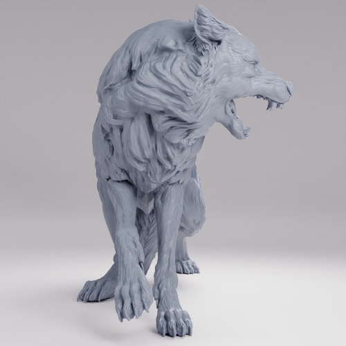 Picture of Arctic Wolf Angry
