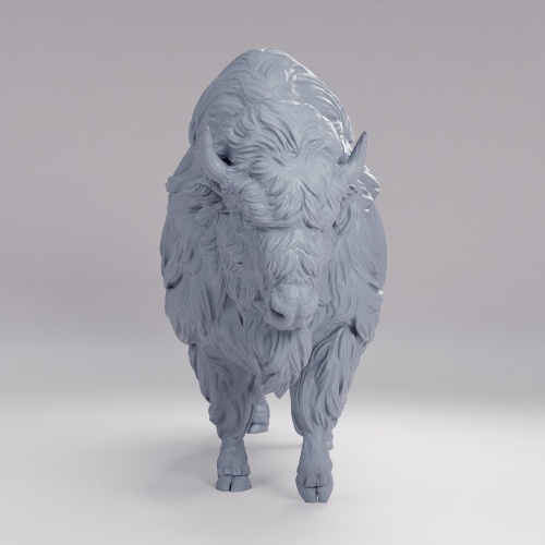 Picture of Bison