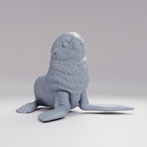 Picture of Harp Seal Pup