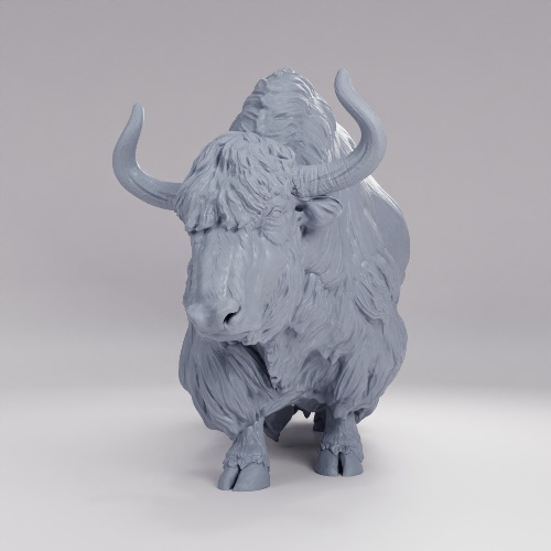 Picture of Himalayan Wild Yak Neutral