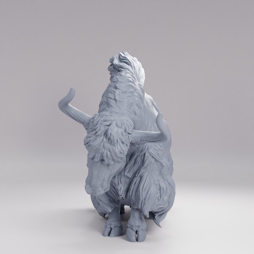 Picture of Himalayan Wild Yak Stance