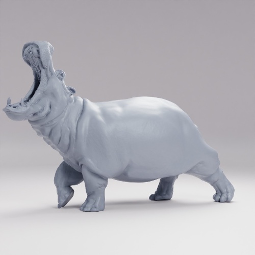 Picture of Hippopotamus