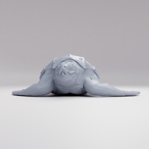 古のオサガメの君主 の画像