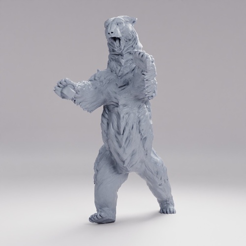 Picture of Polar Bear C
