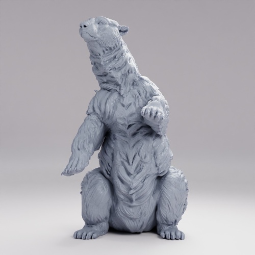 Picture of Polar Bear D