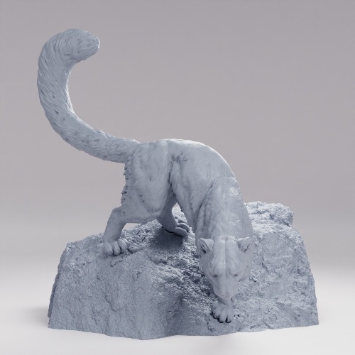Picture of Snow Leopard On Rock