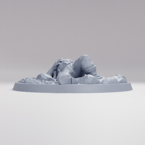 Picture of Dead Traveller C