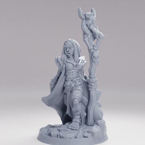 Picture of Female Shaman Ork A