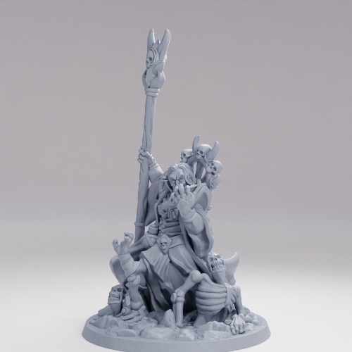 Picture of Necromancer Male B
