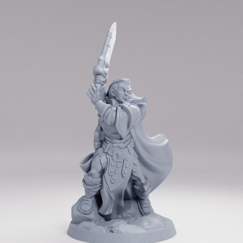 Picture of Paladin Female A