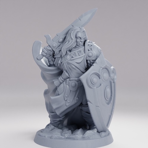 Picture of Paladin Male A