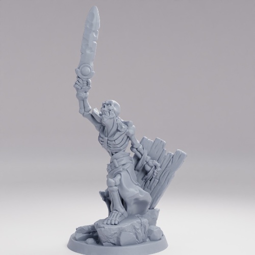 Picture of Skeleton E