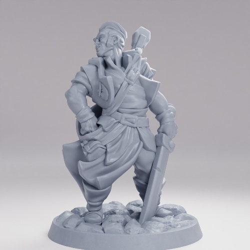 Picture of Stretchgoal Bard Male B