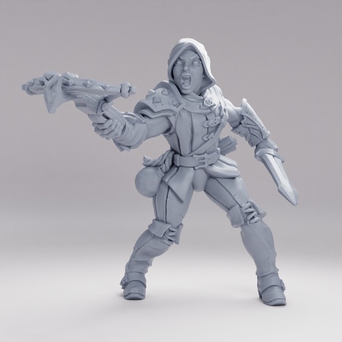 Picture of Adept Thief F Hood