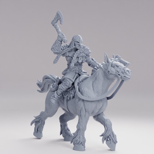 Picture of Northmen Huskarl Rider C Alt