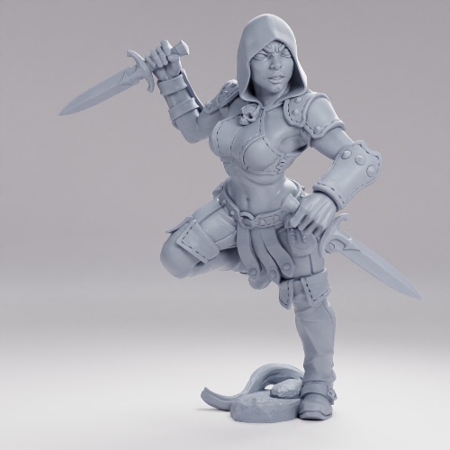Picture of Veiled Sisterhood Rogue C Alt