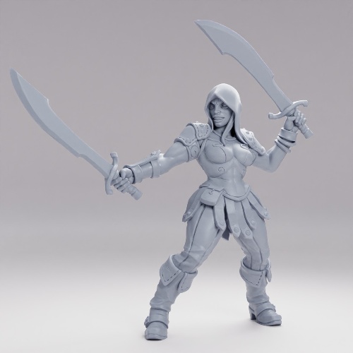Picture of Veiled Sisterhood Rogue D Alt