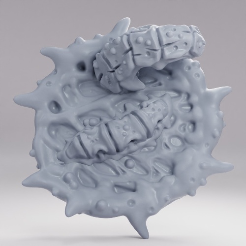 Picture of Primal 30mm E Alt