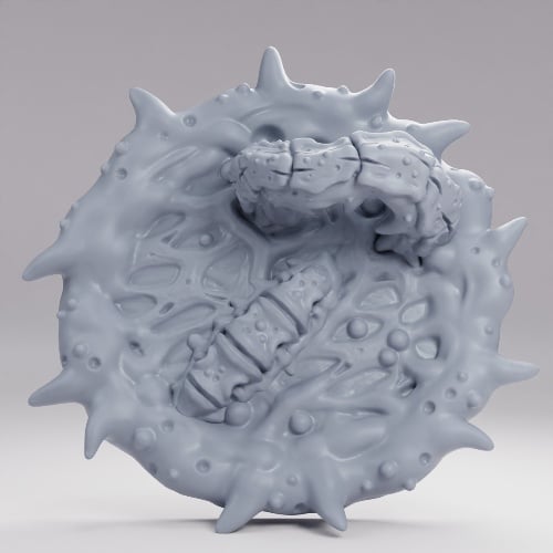 Picture of Primal 40mm D Alt