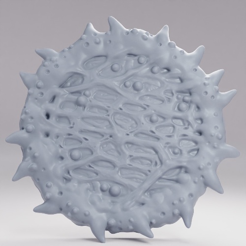 Picture of Primal 50mm C
