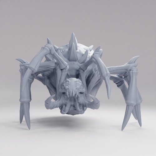 キチン質の刺織り蜘蛛 の画像
