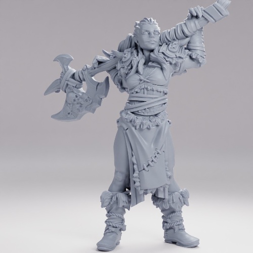Picture of Barbarian Irya
