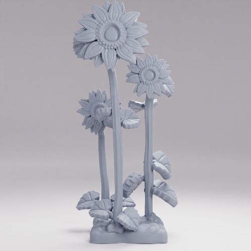 陽光を浴びる農場の花 の画像