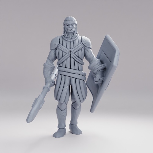 Picture of Castle Guard D