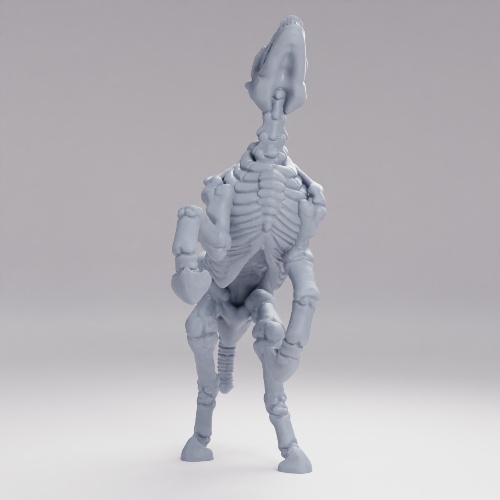 Picture of Skeleton Horse Pose C