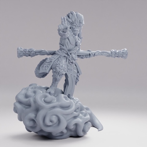 Picture of Wukong C
