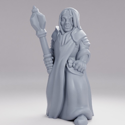 Picture of Cleric Female