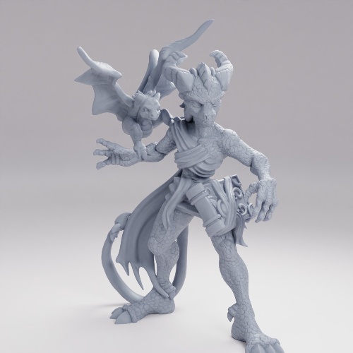 Picture of Dragon Sorceress C