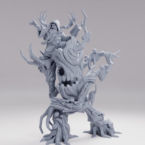 Picture of Druid And Treefolk
