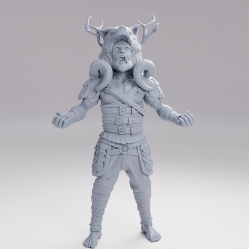 Picture of Druid