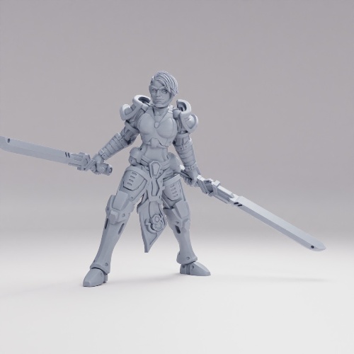 Picture of Legion Erza Knight B Dual Swords
