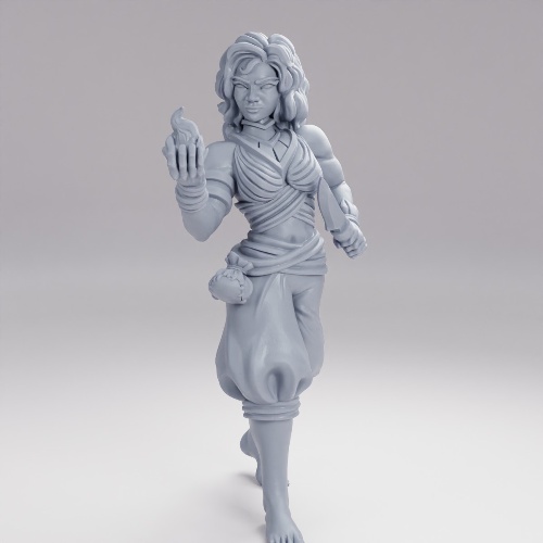 Picture of Mereith The Druid A Level 1