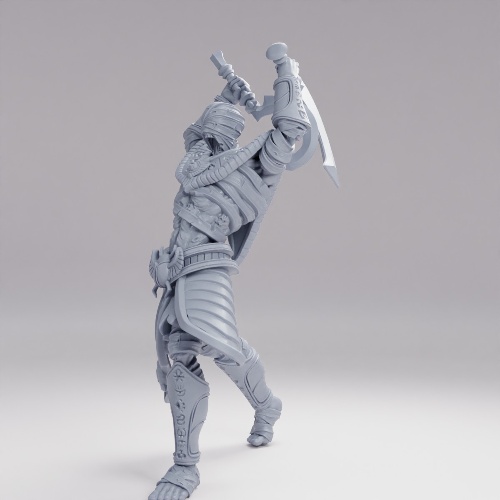 Picture of Warrior Remains A
