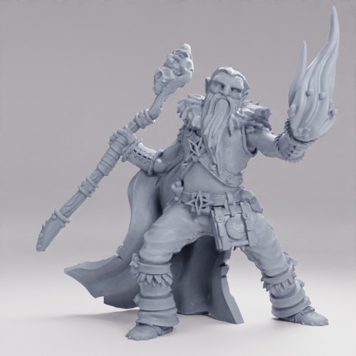 Picture of Druid Half Orc