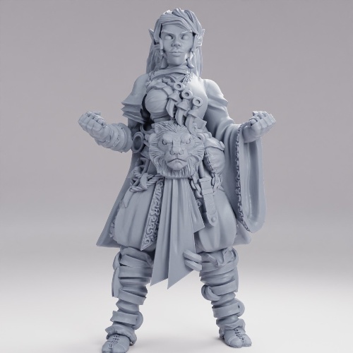 Picture of Elf Monk Ready