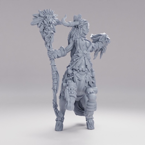 Picture of Female Centaur Sorcerer