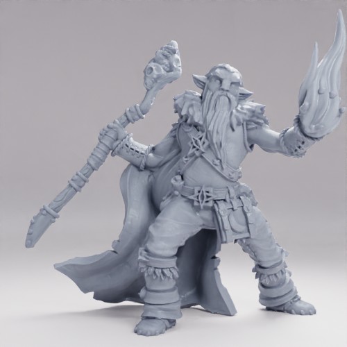 Picture of Firbolg Druid