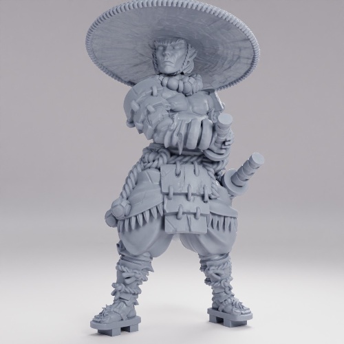 Picture of Male Samurai Warrior Elf