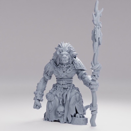 Picture of Sorceror Shaman Gnoll