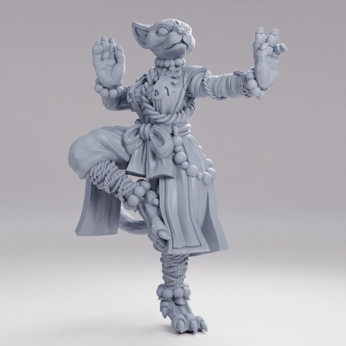 Picture of Tabaxi Monk Female