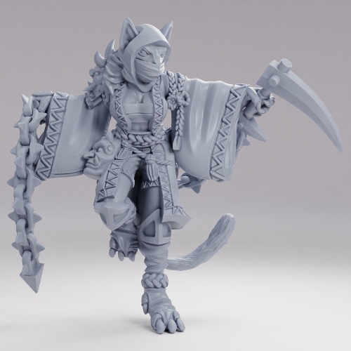 Picture of Tabaxi Theif Girl