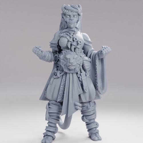Picture of Tiefling Monk Ready