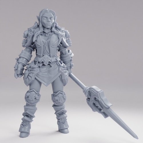 Picture of Warrior Woman Elf