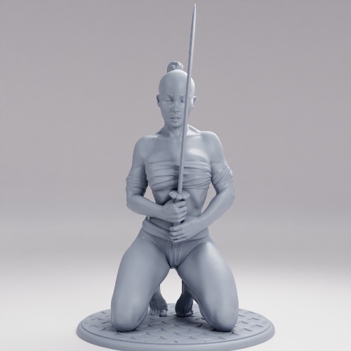 Picture of Samurai Girl D