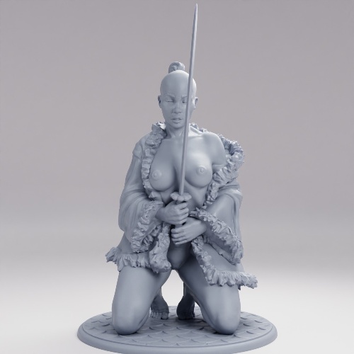 Picture of Samurai Girl E